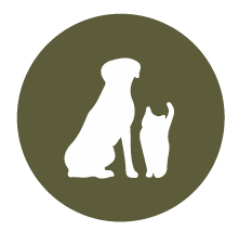 tax icon